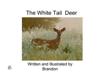 The White Tail Deer




Written and Illustrated by
        Brandon
 