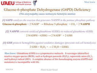 Glucose-6-phosphate Dehydrogenase (G6PD) Deficiency
(This enzymopathy causes normocytic hemolytic anemia)
9/26/2018 1
[1] G6PD catalyzes the reaction that generates NADPH in the pentose phosphate pathway
Glucose-6-phosphate + 2 NADP+ → Ribulose 5-phosphate + CO2 + 2 NADPH
[2] NADPH converts oxidized glutathione (GSSG) to reduced glutathione (GSH)
2 NADPH + GSSG → 2 NADP+ + 2 GSH
[3] GSH protects hemoglobin against oxidative damages (prevents red cell hemolysis)
2 GSH + H2O2 + → 2 H2O + GSSG
Abdul-Kader Souid
Must know
Must know: Glutathione (GSH) is a cytoprotective molecule. It scavenges (detoxifies)
reactive oxygen species (ROS), such as hydrogen peroxide (H2O2), superoxide anion (O2
-
),
and hydroxyl radical (HO.
). A complete absence of this housekeeping enzyme (G6PD-null
mutations) is incompatible with life.
 