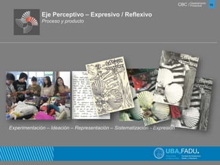 CBC / 10 Departamento 
Proyectual 
Eje Perceptivo – Expresivo / Reflexivo 
Proceso y producto 
Experimentación – Ideación – Representación – Sistematización - Expresión 
 