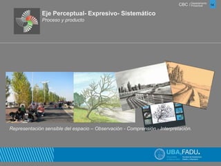 CBC / 14 Departamento 
Proyectual 
Eje Perceptual- Expresivo- Sistemático 
Proceso y producto 
Representación sensible del espacio – Observación - Comprensión - Interpretación. 
 