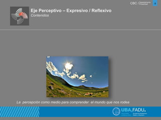 CBC / 9 Departamento 
Proyectual 
Eje Perceptivo – Expresivo / Reflexivo 
Contenidos 
La percepción como medio para comprender el mundo que nos rodea 
 