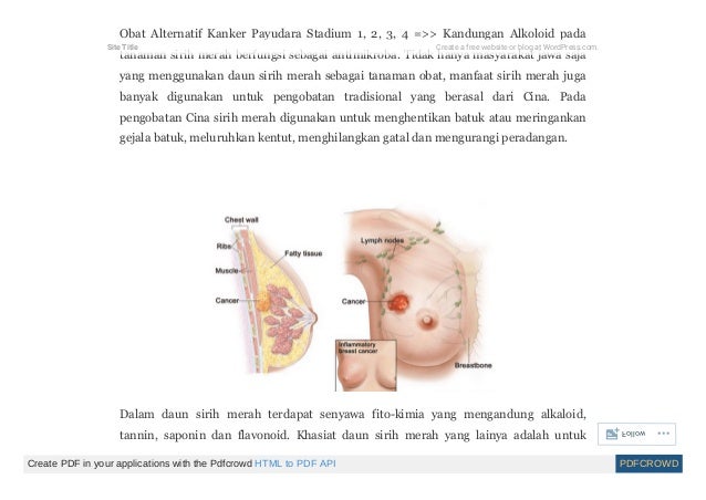 Kanker Payudara Cirikarakteristik Kanker Payudara Gejala Penyebab Kanker Payudara Cirikarakteristik Kanker Payudara Gejala Penyebab