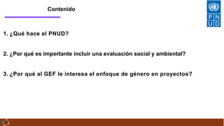 1. ¿Qué hace el PNUD?
2. ¿Por qué es importante incluir una evaluación social y ambiental?
3. ¿Por qué al GEF le interesa ...
