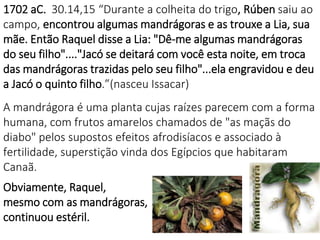1702 aC. 30.14,15 “Durante a colheita do trigo, Rúben saiu ao
campo, encontrou algumas mandrágoras e as trouxe a Lia, sua
mãe. Então Raquel disse a Lia: "Dê-me algumas mandrágoras
do seu filho"...."Jacó se deitará com você esta noite, em troca
das mandrágoras trazidas pelo seu filho"...ela engravidou e deu
a Jacó o quinto filho.”(nasceu Issacar)
A mandrágora é uma planta cujas raízes parecem com a forma
humana, com frutos amarelos chamados de "as maçãs do
diabo" pelos supostos efeitos afrodisíacos e associado à
fertilidade, superstição vinda dos Egípcios que habitaram
Canaã.
Obviamente, Raquel,
mesmo com as mandrágoras,
continuou estéril.
 