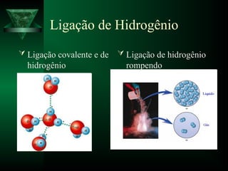 Ligação de Hidrogênio
 Ligação covalente e de
hidrogênio
 Ligação de hidrogênio
rompendo
 