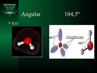Angular 104,5º
 H2O
 