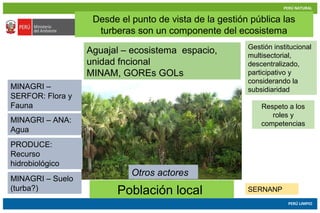 PERÚ NATURAL
PERÚ LIMPIO
www.minam.gob.pe
Respeto a los
roles y
competencias
Aguajal – ecosistema espacio,
unidad fncional...