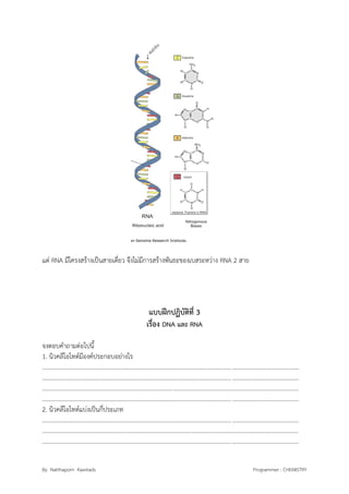 By Natthaporn Kawirads Programmer : CHEMISTRY
แต่ RNA มีโครงสร้างเป็นสายเดี่ยว จึงไม่มีการสร้างพันธะของเบสระหว่าง RNA 2 สาย
แบบฝึกปฏิบัติที่ 3
เรื่อง DNA และ RNA
จงตอบคาถามต่อไปนี้
1. นิวคลีโอไทด์มีองค์ประกอบอย่างไร
.........................................................................................................................................................................
.........................................................................................................................................................................
.........................................................................................................................................................................
.........................................................................................................................................................................
2. นิวคลีโอไทด์แบ่งเป็นกี่ประเภท
.........................................................................................................................................................................
.........................................................................................................................................................................
.........................................................................................................................................................................
 