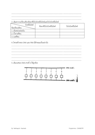 By Natthaporn Kawirads Programmer : CHEMISTRY
.........................................................................................................................................................................
.........................................................................................................................................................................
.........................................................................................................................................................................
3. เติมตารางเปรียบเทียบดีออกซีไรโบนิวคลีโอไทด์และไรโบนิวคลีโอไทด์
นิวคลีโอไทด์
ข้อเปรียบเทียบ
ดีออกซีไรโบนิวคลีโอไทด์ ไรโบนิวคลีโอไทด์
1. เป็นหน่วยย่อยใน
2. น้าตาลที่พบ
3. เบสที่พบ
4. โครงสร้างของ DNA และ RNA มีลักษณะเป็นอย่างไร
.........................................................................................................................................................................
.........................................................................................................................................................................
.........................................................................................................................................................................
.........................................................................................................................................................................
.........................................................................................................................................................................
.........................................................................................................................................................................
5. เติมเบสของ DNA สายที่ 2 ให้ถูกต้อง
 