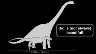 Big is (not always)
beautiful!
Feb 2019 RF Lumination 2019 33
 