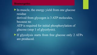  In muscle, the energy yield from one glucose
residue
derived from glycogen is 3 ATP molecules,
because no
ATP is required for initial phosphorylation of
glucose (step 1 of glycolysis).
 If glycolysis starts from free glucose only 2 ATPs
are produced.
Bioenergetics
 
