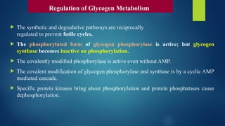  The synthetic and degradative pathways are reciprocally
regulated to prevent futile cycles.
 The phosphorylated form of glycogen phosphorylase is active; but glycogen
synthase becomes inactive on phosphorylation.
 The covalently modified phosphorylase is active even without AMP.
 The covalent modification of glycogen phosphorylase and synthase is by a cyclic AMP
mediated cascade.
 Specific protein kinases bring about phosphorylation and protein phosphatases cause
dephosphorylation.
Regulation of Glycogen Metabolism
 