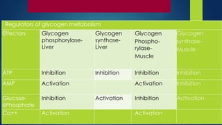 Regulators of glycogen metabolism
Effectors Glycogen
phosphorylase-
Liver
Glycogen
synthase-
Liver
Glycogen
Phospho-
rylase-
Muscle
Glycogen
synthase-
Muscle
ATP Inhibition Inhibition Inhibition Inhibition
AMP Activation Activation Inhibition
Glucose-
6Phosphate
Inhibition Activation Inhibition Activation
Ca++ Activation Activation
 