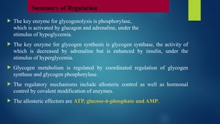  The key enzyme for glycogenolysis is phosphorylase,
which is activated by glucagon and adrenaline, under the
stimulus of hypoglycemia.
 The key enzyme for glycogen synthesis is glycogen synthase, the activity of
which is decreased by adrenaline but is enhanced by insulin, under the
stimulus of hyperglycemia.
 Glycogen metabolism is regulated by coordinated regulation of glycogen
synthase and glycogen phosphorylase.
 The regulatory mechanisms include allosteric control as well as hormonal
control by covalent modification of enzymes.
 The allosteric effectors are ATP, glucose-6-phosphate and AMP.
Summary of Regulation
 