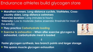 Endurance athletes build glycogen store
 Marathon runners, Long-distance cyclists, Triathletes, Cross-
country skiers, Long-distance swimmers
•Exercise duration: Long (minutes to hours)
•Intensity: Low to moderate (below anaerobic threshold for most of
the activity)
 They practice Carbohydrate loading
 Exercise to exhaustion – When after exercise glycogen is
exhausted, carbohydrate meal is loaded
↓
Faster glycogen synthesis, less branch points and larger storage
 This spares muscle glycogen exhaustion
 