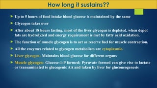  Up to 5 hours of food intake blood glucose is maintained by the same
 Glycogen takes over
 After about 18 hours fasting, most of the liver glycogen is depleted, when depot
fats are hydrolyzed and energy requirement is met by fatty acid oxidation.
 The function of muscle glycogen is to act as reserve fuel for muscle contraction.
 All the enzymes related to glycogen metabolism are cytoplasmic.
 Liver glycogen- Maintains blood glucose for different organs
 Muscle glycogen- Glucose-1-P formed; Pyruvate formed can give rise to lactate
or transaminated to glucogenic AA and taken by liver for gluconeogenesis
How long it sustains??
 