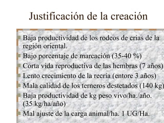 Justificación de la creación   Baja productividad de los rodeos de crias de la región oriental. Bajo porcentaje de marcación (35-40 %) Corta vida reproductiva de las hembras (7 años) Lento crecimiento de la recría (entore 3 años) Mala calidad de los terneros destetados (140 kg) Baja productividad de kg peso vivo/ha./año.  (35 kg/ha/año) Mal ajuste de la carga animal/ha. 1 UG/Ha. 