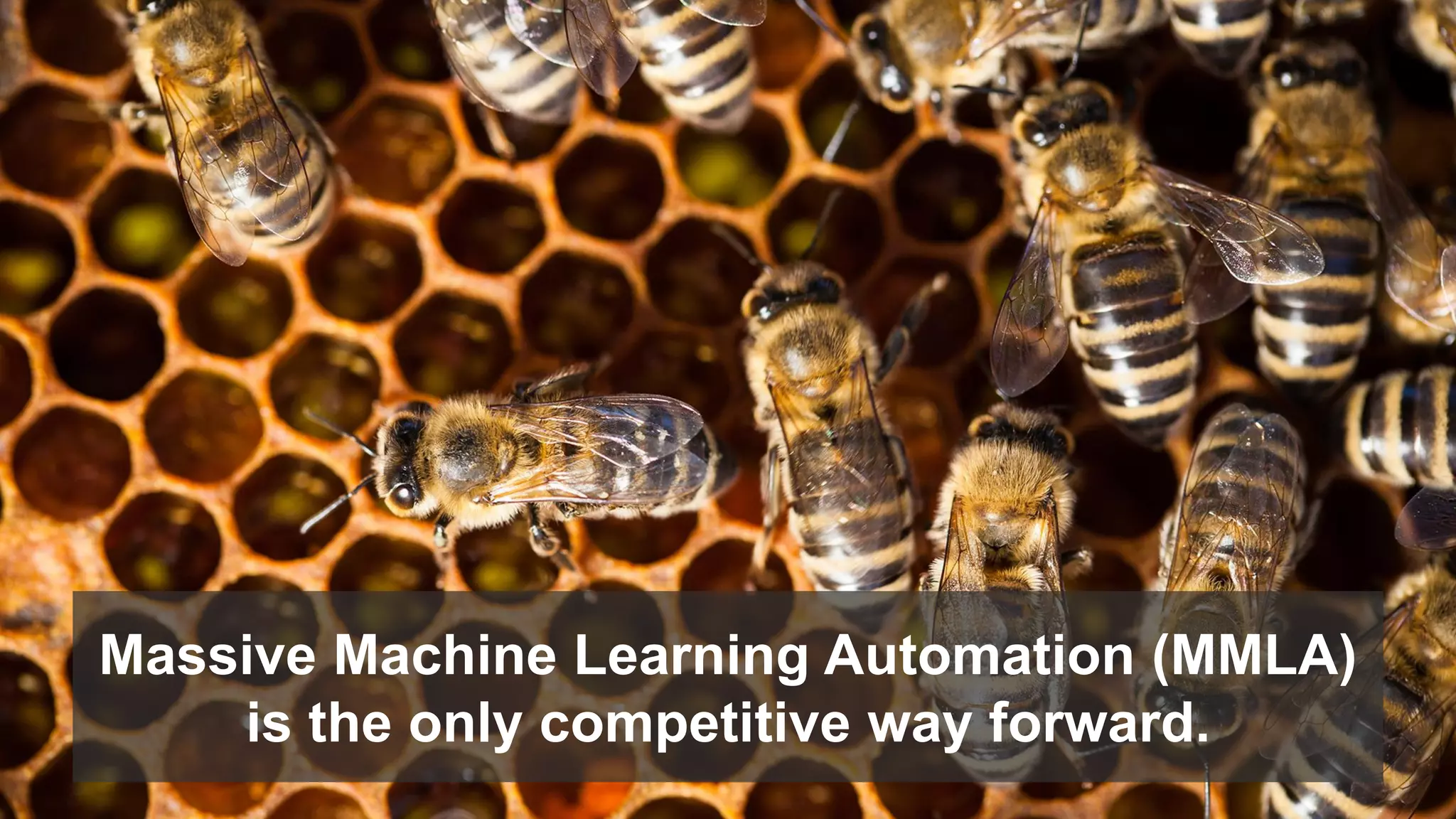 Massive Machine Learning Automation (MMLA)
is the only competitive way forward.
 