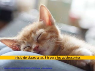 Inicio de clases a las 8 h para los adolescentes
https://farm6.staticflickr.com/5023/5642852589_ea790537df_z.jpg by Alexandra Guerson
 