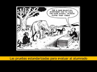 Las pruebas estandarizadas para evaluar al alumnado
 