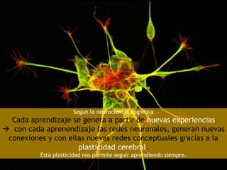 Segun la neurociencia cognitiva
Cada aprendizaje se genera a partir de nuevas experiencias
 con cada aprenendizaje las redes neuronales, generan nuevas
conexiones y con ellas nuevas redes conceptuales gracias a la
plasticidad cerebral.
Esta plasticidad nos permite seguir aprendiendo siempre.
 