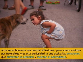 A los seres humanos nos cuesta reflexionar, pero somos curiosos
por naturaleza y es esta curiosidad la que activa las emociones
que alimentan la atención y facilitan el aprendizaje.
Imagen de Pixabay. CC0 Public Domain
 