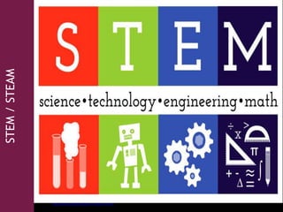 STEM/STEAM
Fuente: http://www.usd383.org/stem-summer-institute
 