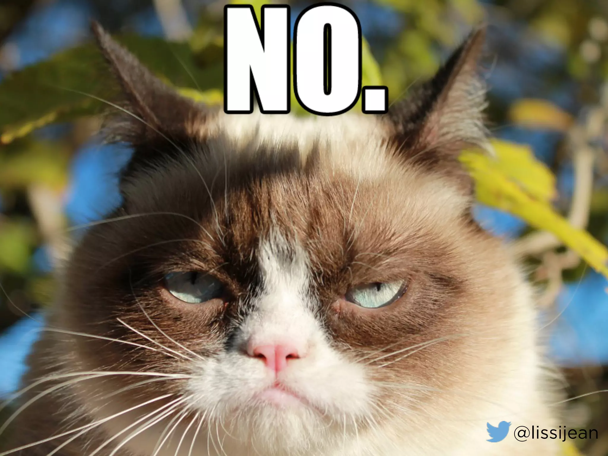 @lissijean@lissijean
 