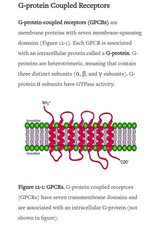 5) G protein linked receptor.pdf