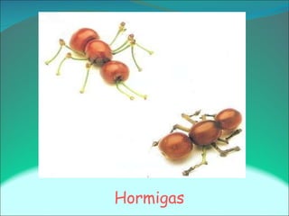 Hormigas
 
