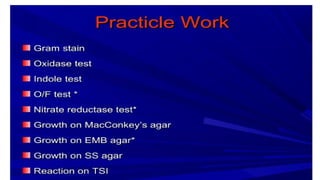 DPT - Microbiology II (Gram -ve rods) - Introduction to Enterics | PPTX