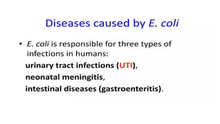 DPT - Microbiology II (Gram -ve rods) - Introduction to Enterics | PPTX