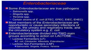 DPT - Microbiology II (Gram -ve rods) - Introduction to Enterics | PPTX