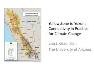 Yellowstone to Yukon:Connectivity in Practice for Climate Change Lisa J. Graumlich The University of Arizona 