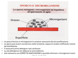 Dadila sas - Cornate d'Adda 
•Lo sporco fornisce ai microrganismi le sostanze necessarie alla loro proliferazione. 
•Lo sporco può essere una barriera molto resistente, capace di rendere inefficiente l'azione del disinfettante. 
•È necessario prima detergere e poi sanitizzare 
•La sola detergenza non abbassa la carica batterica. 
•Solo attraverso una CORRETTA SANIFICAZIONE è possibile eliminare i microrganismi nocivi.  