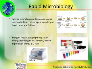 5 Hal Mendasar Dalam Desain Laboratorium Mikrobiologi 