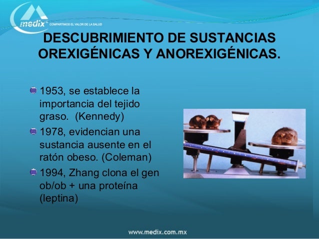 5.hambre y saciedad 5.hambre y saciedad