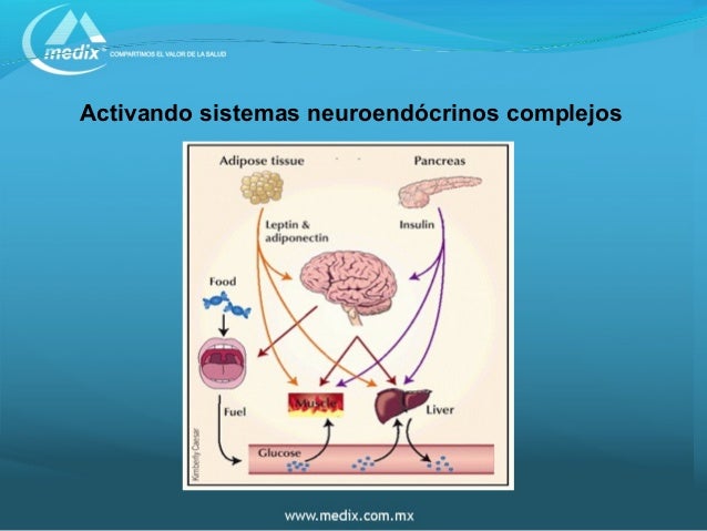 5.hambre y saciedad 5.hambre y saciedad