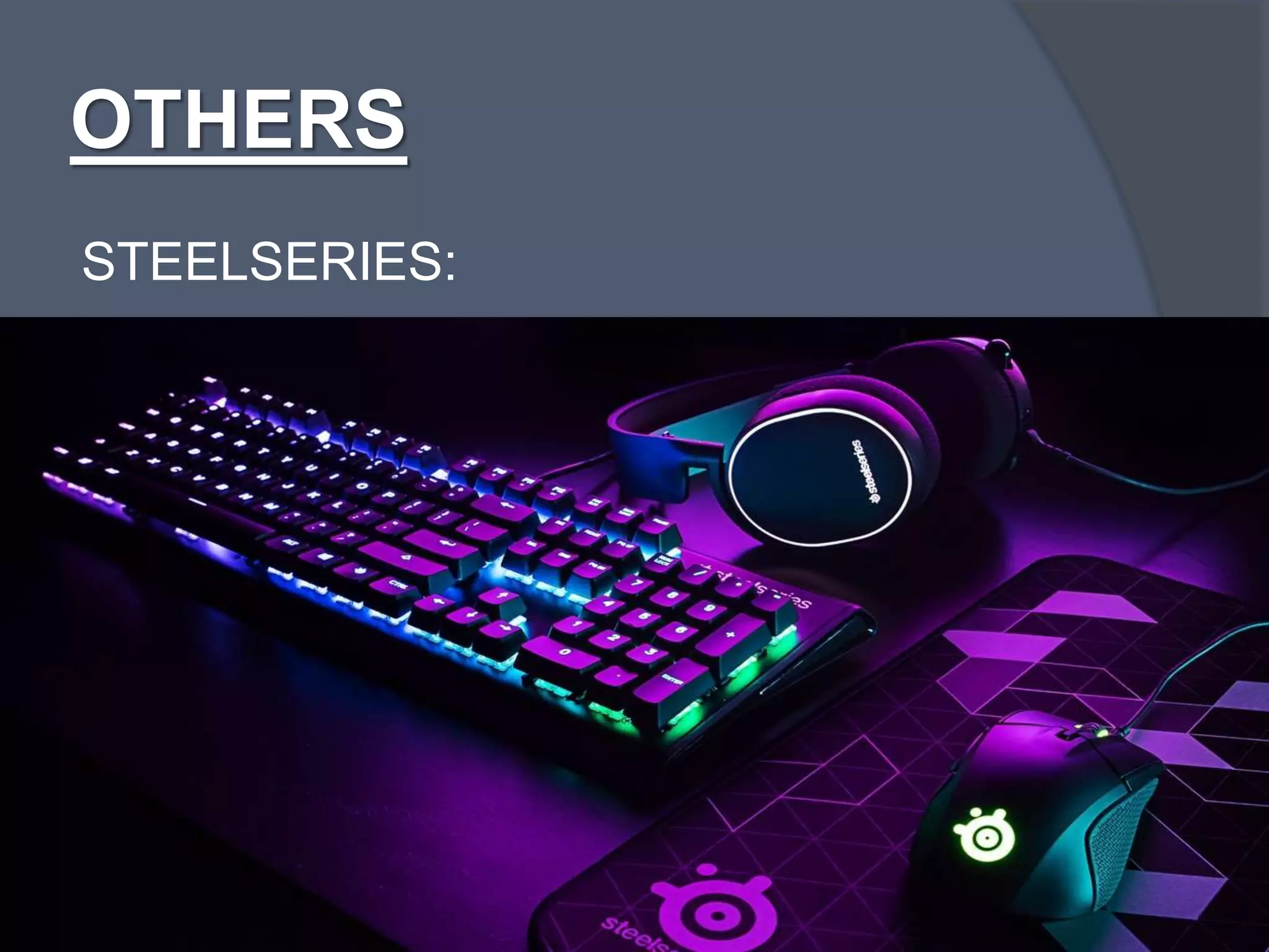 OTHERS
STEELSERIES:
 