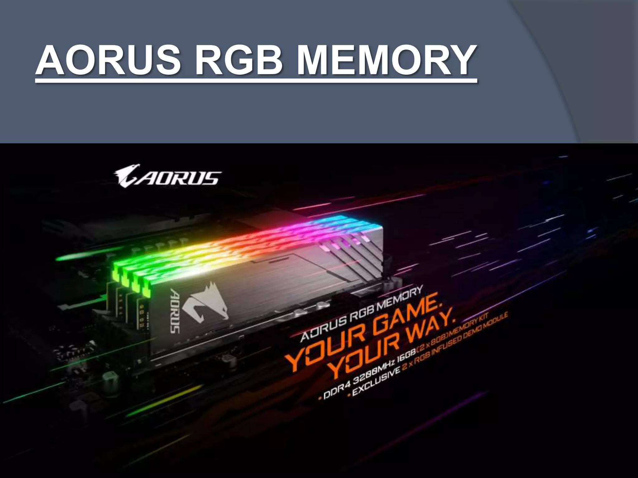 AORUS RGB MEMORY
 