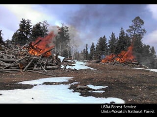 USDA Forest Service
Uinta-Wasatch National Forest
 
