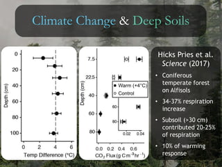 Climate Change & Deep Soils
Hicks Pries et al.
Science (2017)
• Coniferous
temperate forest
on Alfisols
• 34-37% respiration
increase
• Subsoil (>30 cm)
contributed 20-25%
of respiration
• 10% of warming
response
Warm (+4°C)
Control
 