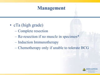Management


• cTa (high grade)
  –   Complete resection
  –   Re-resection if no muscle in specimen*
  –   Induction Immunotherapy
  –   Chemotherapy only if unable to tolerate BCG
 