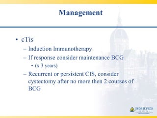 Management


• cTis
  – Induction Immunotherapy
  – If response consider maintenance BCG
     • (x 3 years)
  – Recurrent or persistent CIS, consider
    cystectomy after no more then 2 courses of
    BCG
 
