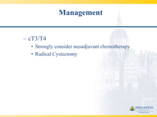 Management


– cT3/T4
  • Strongly consider neoadjuvant chemotherapy
  • Radical Cystectomy
 