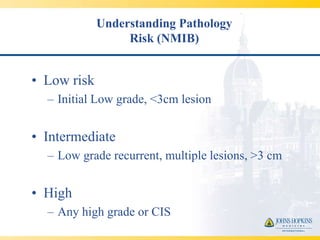 Understanding Pathology
                  Risk (NMIB)


• Low risk
  – Initial Low grade, <3cm lesion


• Intermediate
  – Low grade recurrent, multiple lesions, >3 cm


• High
  – Any high grade or CIS
 
