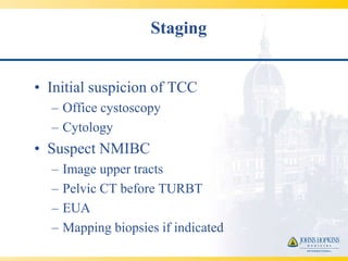 Staging


• Initial suspicion of TCC
  – Office cystoscopy
  – Cytology
• Suspect NMIBC
  –   Image upper tracts
  –   Pelvic CT before TURBT
  –   EUA
  –   Mapping biopsies if indicated
 