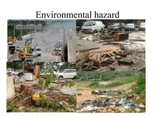 Environmental hazard
 