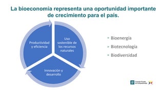 Bioeconomía: oportunidades para la industria colombiana 