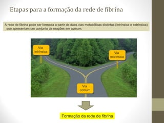 Etapas para a formação da rede de fibrina
Formação da rede de fibrina
Via
intrínsica Via
extrínsica
Via
comum
A rede de fibrina pode ser formada a partir de duas vias metabólicas distintas (íntrínsica e extrínsica)
que apresentam um conjunto de reações em comum.
 